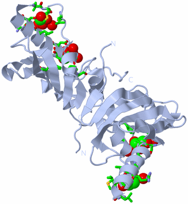 Image Biol. Unit 1 - sites
