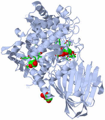 Image Biol. Unit 1 - sites