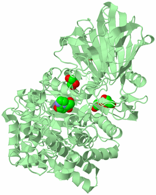 Image Biological Unit 2