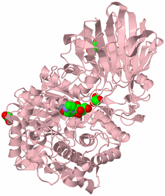 Image Biological Unit 3