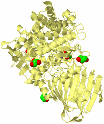 Image Biological Unit 4