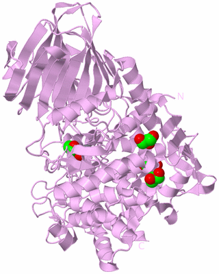 Image Biological Unit 5