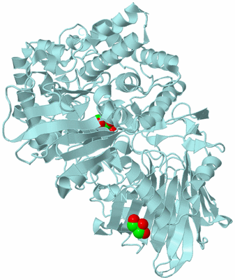 Image Biological Unit 6