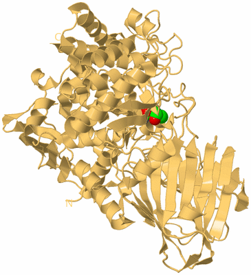 Image Biological Unit 7