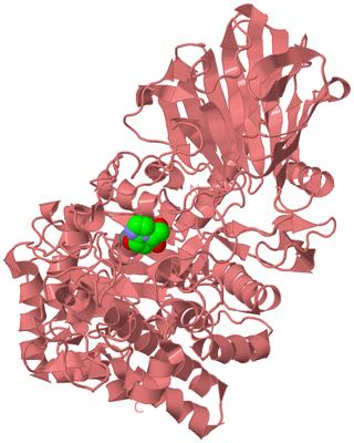 Image Biological Unit 8