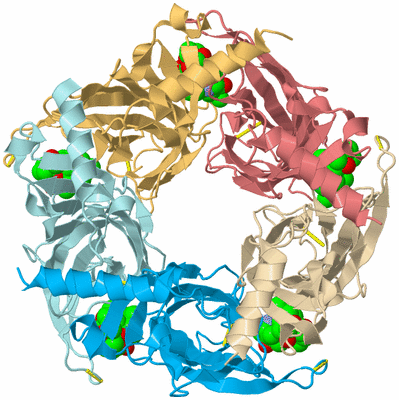 Image Biological Unit 1