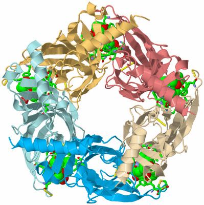 Image Biol. Unit 1 - sites