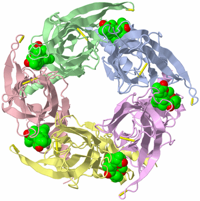 Image Biological Unit 2