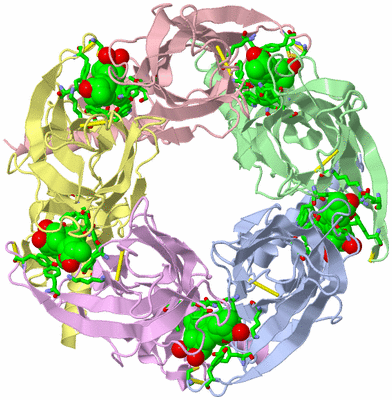 Image Asym./Biol. Unit - sites