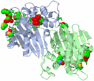 Image Asym./Biol. Unit - sites