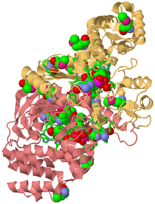 Image Biol. Unit 1 - sites