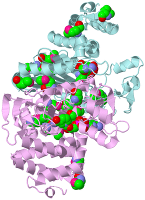 Image Biological Unit 2