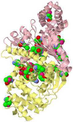 Image Biological Unit 3