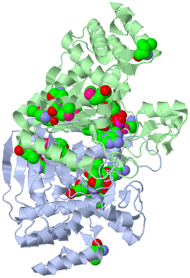 Image Biological Unit 4