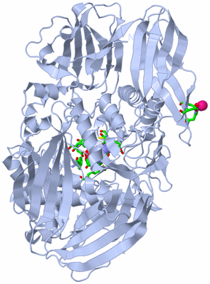 Image Biol. Unit 1 - sites