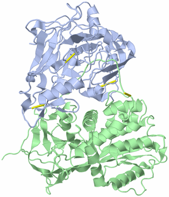 Image Biological Unit 3