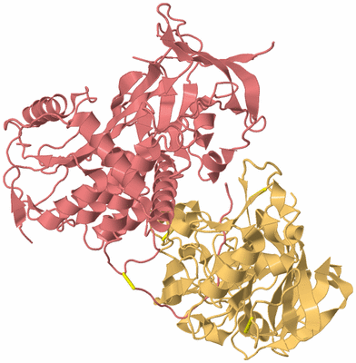 Image Biological Unit 4