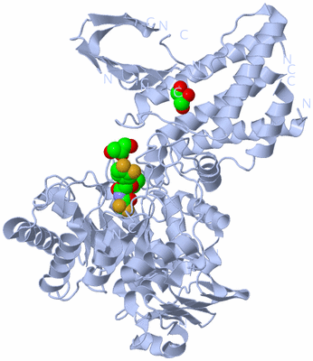 Image Biological Unit 1