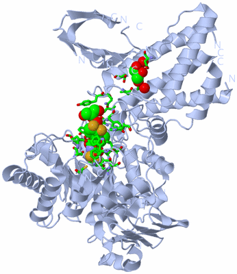 Image Biol. Unit 1 - sites