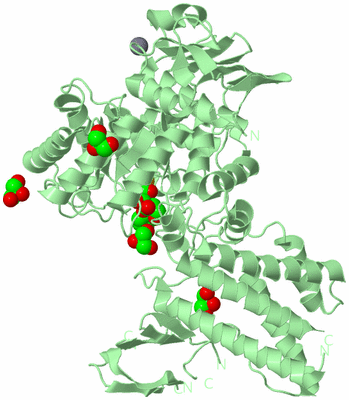 Image Biological Unit 2