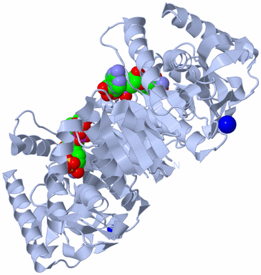 Image Biological Unit 1