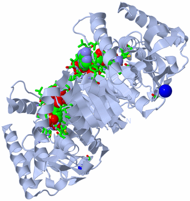 Image Biol. Unit 1 - sites