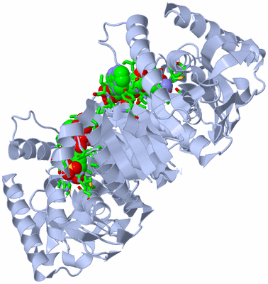 Image Biol. Unit 1 - sites