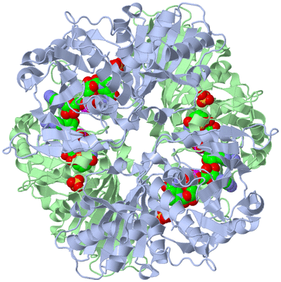 Image Biological Unit 1