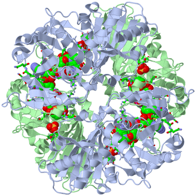 Image Biol. Unit 1 - sites