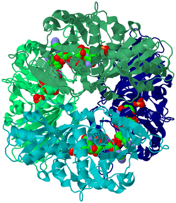 Image Biological Unit 2