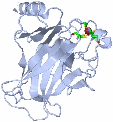 Image Biol. Unit 1 - sites