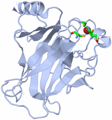 Image Biol. Unit 1 - sites
