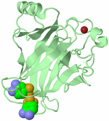 Image Biological Unit 2