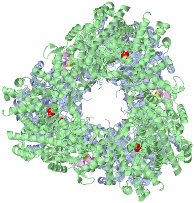 Image Biological Unit 2