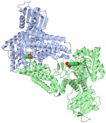 Image Asym./Biol. Unit