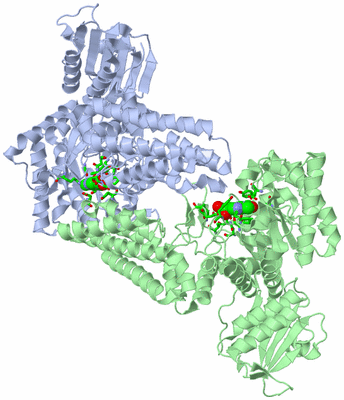 Image Asym./Biol. Unit - sites