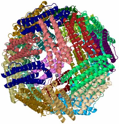 Image Asym./Biol. Unit