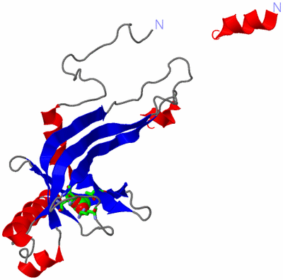 Image Asym. Unit - sites