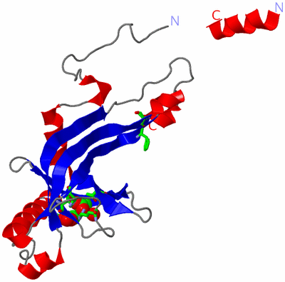 Image Asym. Unit - sites