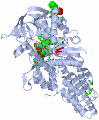 Image Biol. Unit 1 - sites