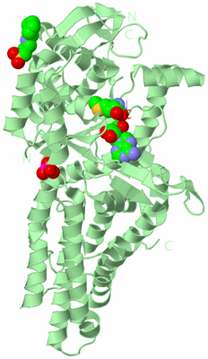 Image Biological Unit 2