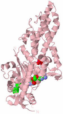 Image Biological Unit 3