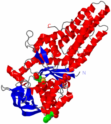 Image Asym./Biol. Unit