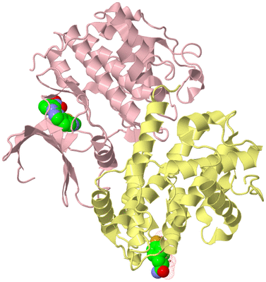 Image Biological Unit 1