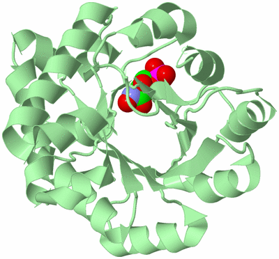 Image Biological Unit 2