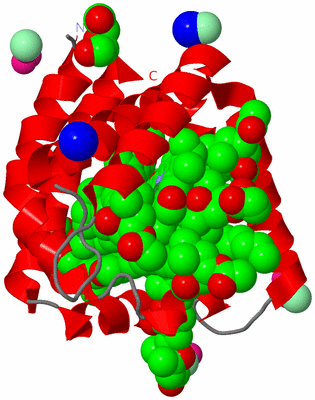 Image Asymmetric Unit