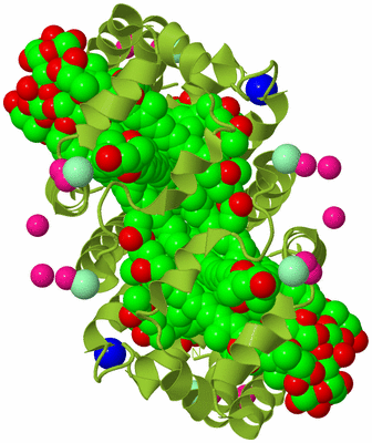 Image Biological Unit 1