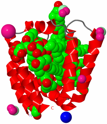 Image Asymmetric Unit