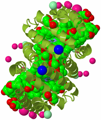 Image Biological Unit 1