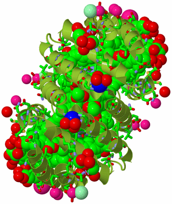 Image Biol. Unit 1 - sites